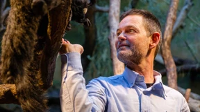 Magische Begegnung mit der Natur