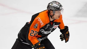 Die Galionsfigur der Löwen ist weg