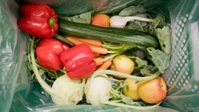 Geknechtet vom Spitzkohl