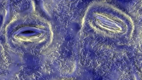 Der Waldschrat auf dem Eichenblatt