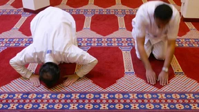 Das Leben ist der Güter höchstes doch