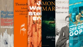 Die wichtigsten Romane