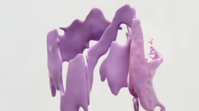 Welche Lack-Looks sind gerade angesagt?