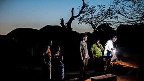 Zu den Ursprüngen der Erreger