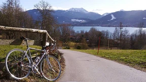 Das große Stimmenfasten bei den Grünen