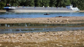 Schiffsverkehr leidet unter der Hitze