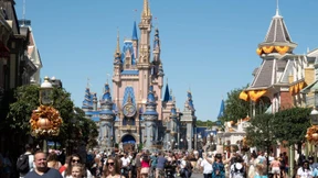 Bärin gesichtet – mehrere Attraktionen müssen schließen