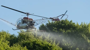Hubschrauber gegen Maikäfer