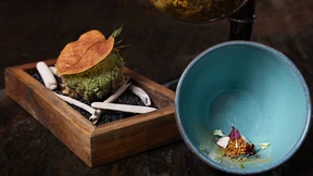 Steckt eine Makrele im märkischen Sand