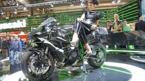 Jenseits der Schamgrenze