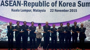 Asiatische Gänse im Watschelgang  