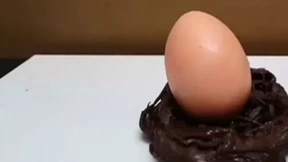 Ist das wirklich ein Ei?