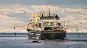 Hartes Ringen um Schätze der Antarktis