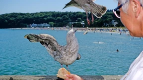 Wie groß ist meine Rentenlücke?