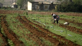 Trump-Tweet löst diplomatische Krise mit Südafrika aus