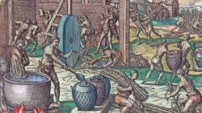 Eine Verirrung des Ernährungssystems