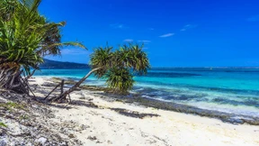 Geld bereist die Welt