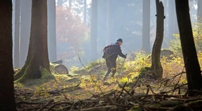 Zwischen Lockdown und schönen Herbsttagen