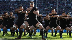 Der gepiesackte Rugby-Bär