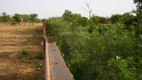 Bäume pflanzen an der Grenze zur Hölle
