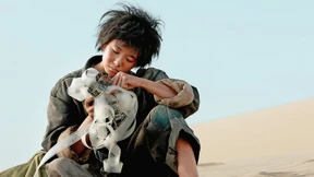 Schießen Sie nicht auf den Projektionisten!