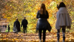 Soll man sich in die Beziehung von Freunden einmischen?