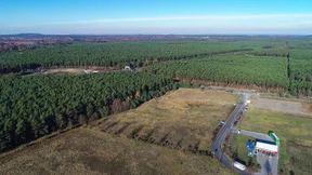 Tesla reagiert auf Proteste gegen Waldrodung