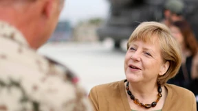 Fuchs und Dingo gute Nacht sagen