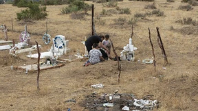 200 Naturschützer im vergangenen Jahr getötet