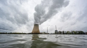 Unter dem toten Pferd