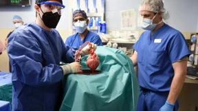 Erster Transplantationspatient mit Schweineherz gestorben