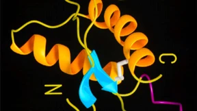 Die Gestaltungskraft des Imperfekten