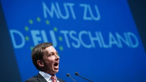 Lucke und Henkel führen die AfD in die Europawahl