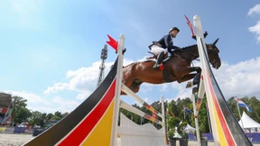 Das Pferd als Spiegel