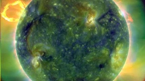 Die sonderlichen Sonnenanbeter