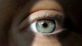 Kaufen, wenn die Chefs kaufen