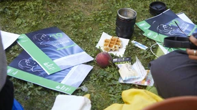 Fast alles wie immer