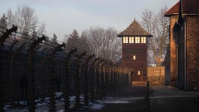 Geschichten der Lebenden