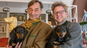 Eine Stadt im Dackelfieber