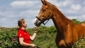 In der Welt von Bella Rose