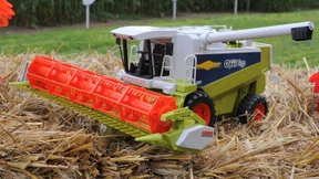 Getreideernte gut - Brötchenpreis bleibt trotzdem gleich