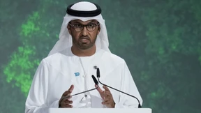 Präsident von COP28 mit bisherigen Fortschritten unzufrieden