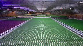 Osram-Kurs unter Druck