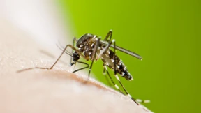 Sie reist in Autos und Zügen mit