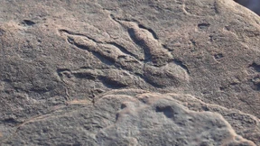 Vierjährige in Wales findet Dinosaurier-Fußabdruck