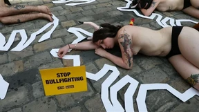 Proteste gegen Stierhatz in Pamplona