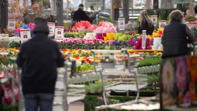 Der Wettbewerb ums Öffnen hat begonnen