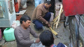 Der Fluch der Bestie