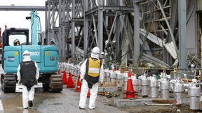 Japan streitet um Einfuhrverbote für Lebensmittel