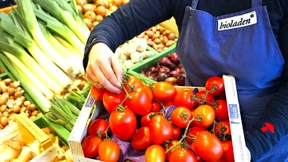 Was ein Monat „bio“ kostet